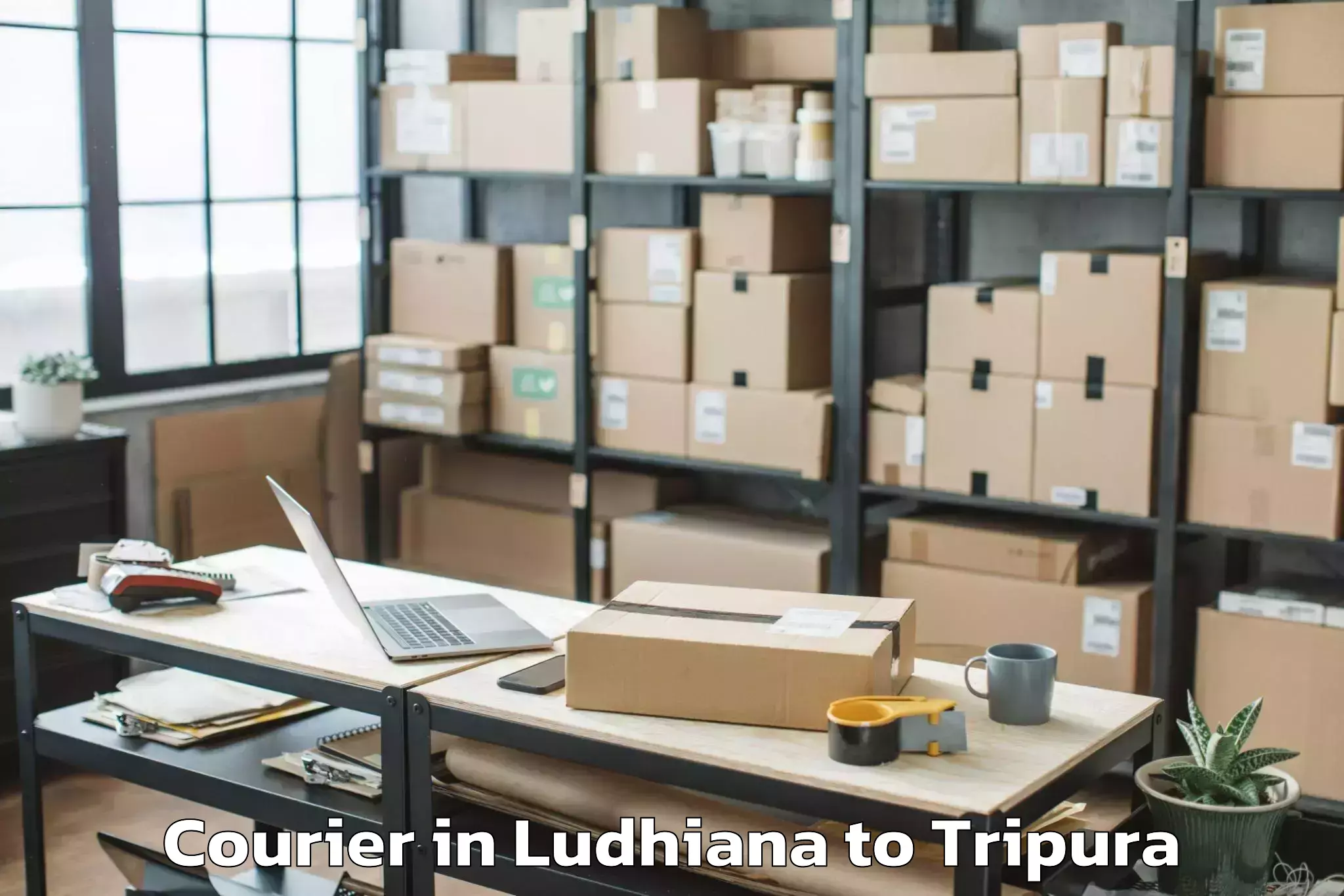 Book Ludhiana to Agartala Courier Online